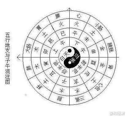 心属火|一、心（附：心包络）